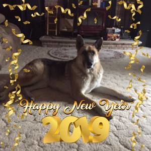 Meet your Posher, Aimee